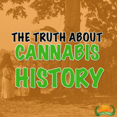 cannabis history with mikel weisser