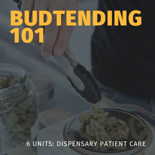 budtending 101 patient care