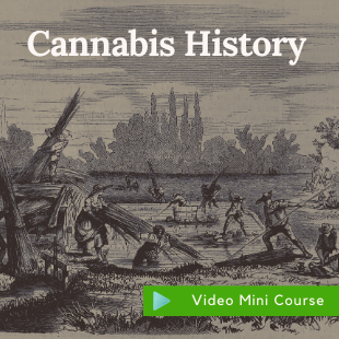 history of cannabis certificate