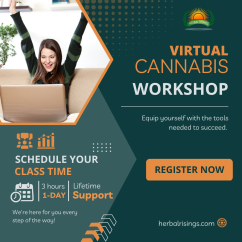 Virtual Cannabis Career Training Workshop