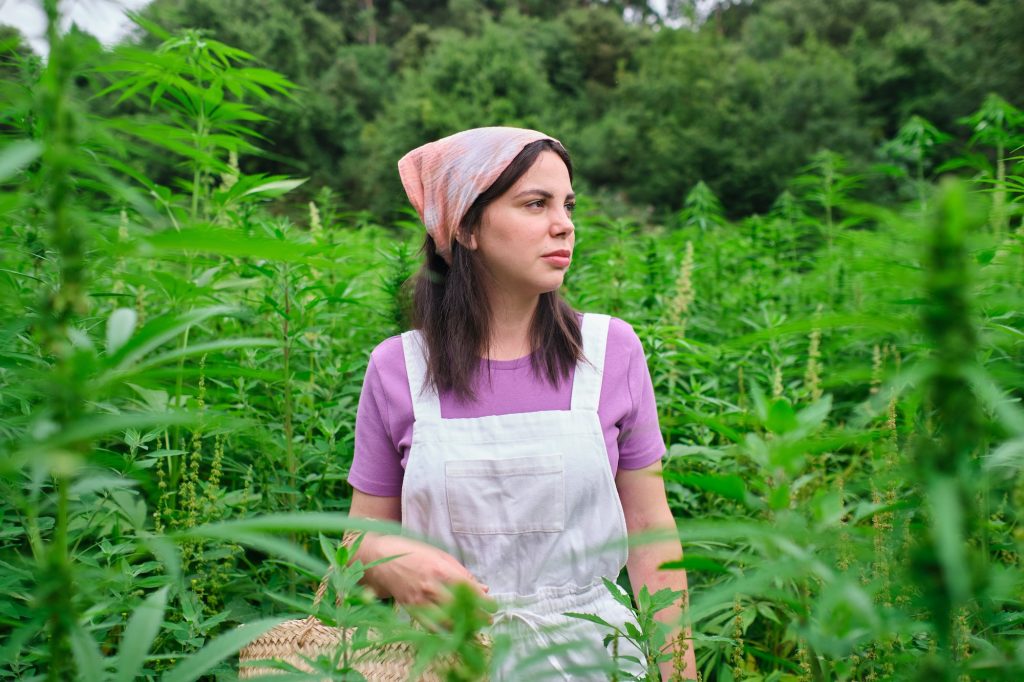 young woman in a cannabis plantation