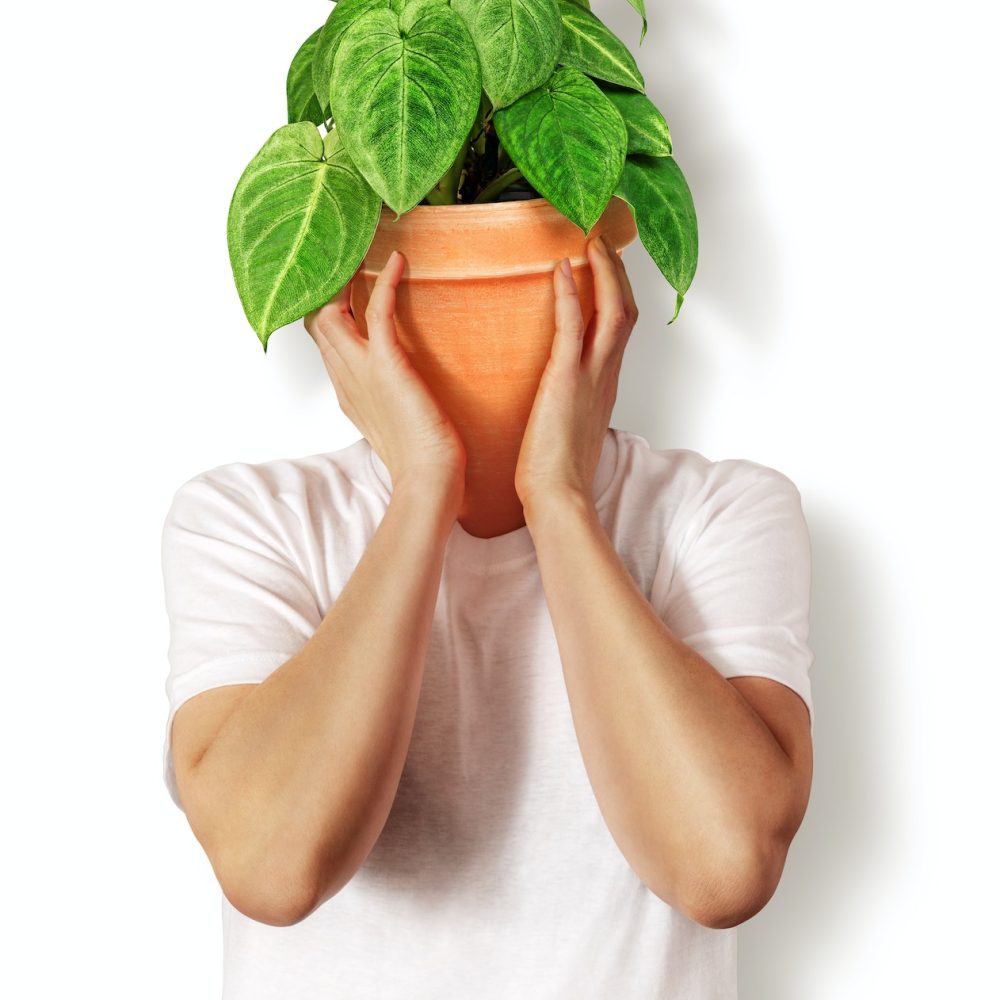 Person with a potted plant instead of head. Plantsman is a lifestile.
